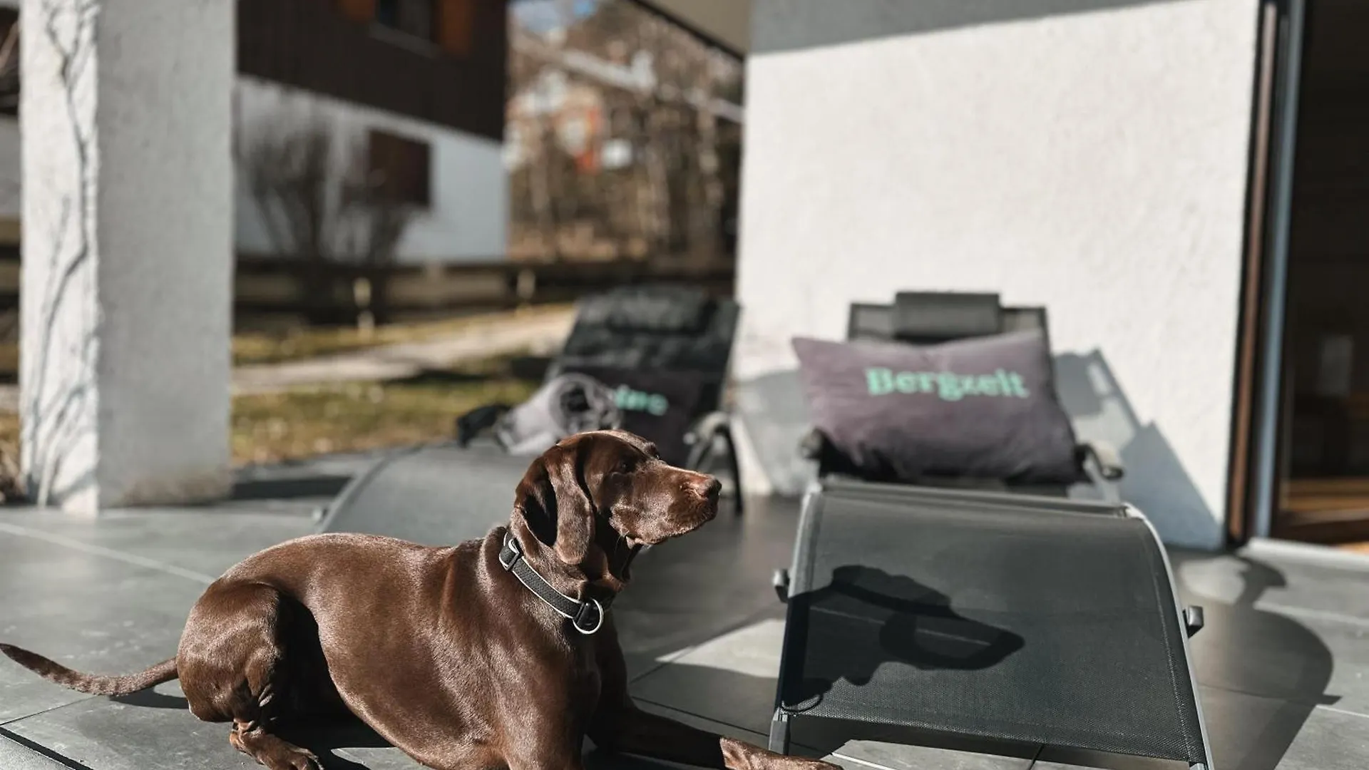 Kleine Bergzeit Lägenhet Bad Oberdorf